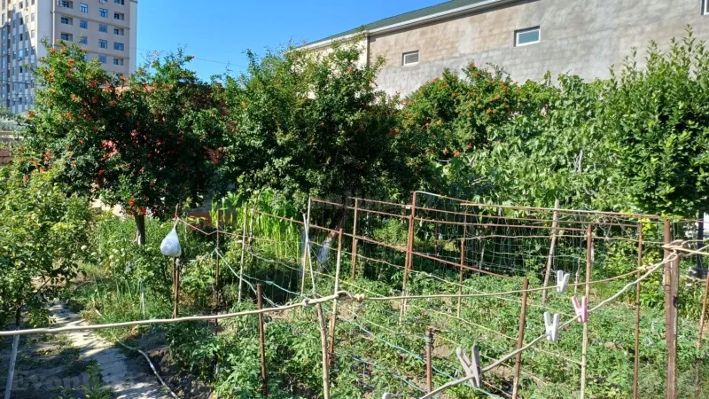 Satılır Torpaq 3 sot Bakı, Sabunçu r., Bakıxanov — Torpaq, Bakı (2)