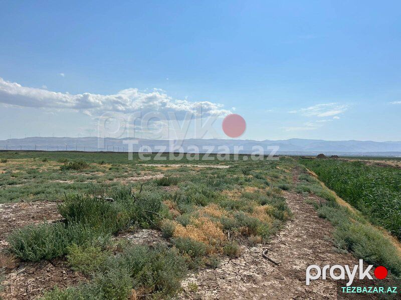 Satılır 511 sot torpaq sahəsi Xızı rayonu — Torpaq, Xızı (4)