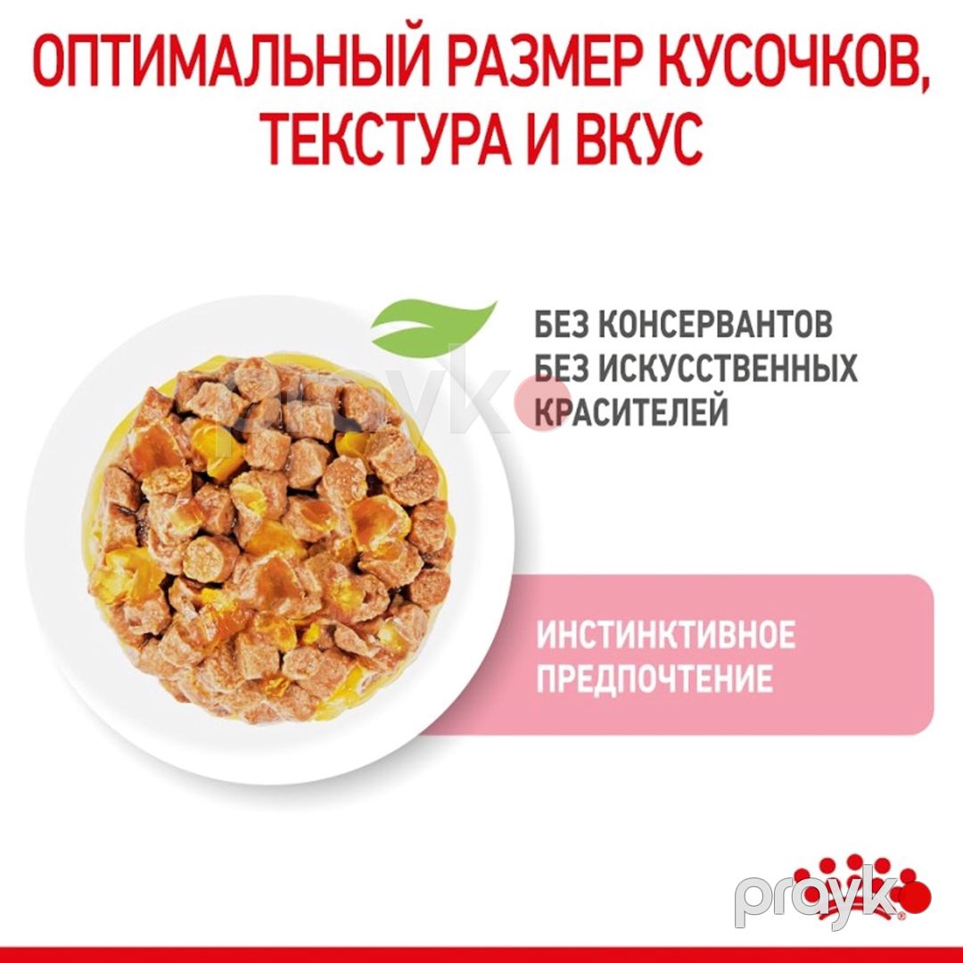 Nəm yem qısırlaşdırılmış pişik balaları üçün Royal Canin Kitten Sterilised, 85 q — Mallar, Bakı (2)