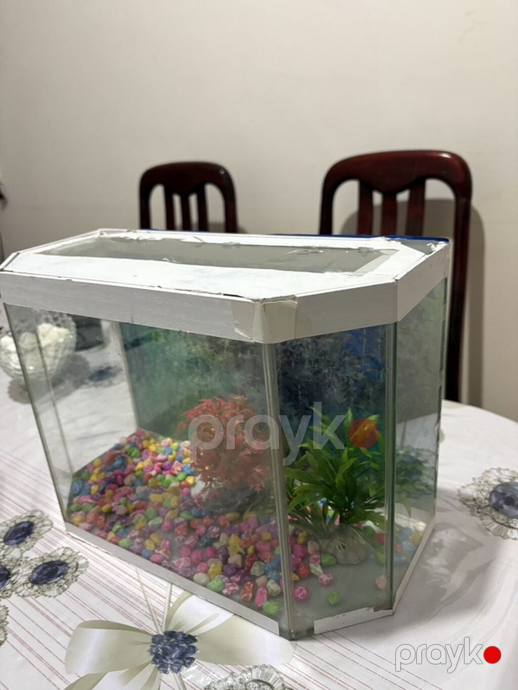 Akvaryum dəsti - Şüşə korpus, çoxbucaqlı ön hissə: panoramik görünüş — Akvariumlar və balıqlar, Bakı (3)