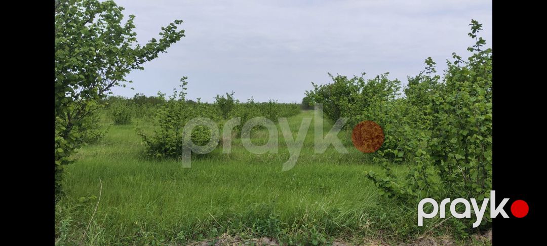 153 sot torpaq sahəsi, Xaçmaz r — Torpaq, Xaçmaz (7)