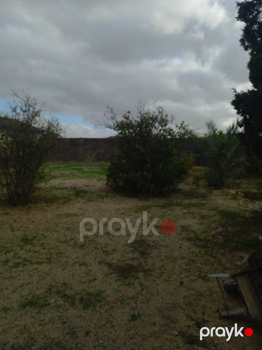 Satılır torpaq 15 sot — Torpaq, Bakı (6)