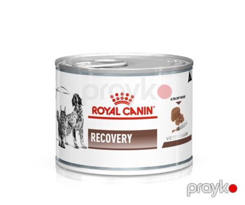 Konserv Royal Canin Recovery it və pişiklər üçün, 195 q