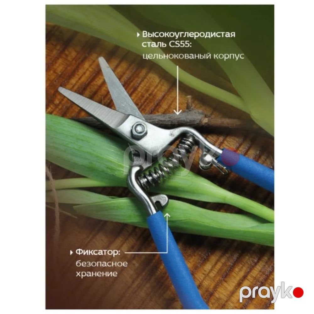 Bağban qayçısı 8019 paslanmayan metal, ergonomik tutacaq - prm_032 — Mallar, Bakı (3)