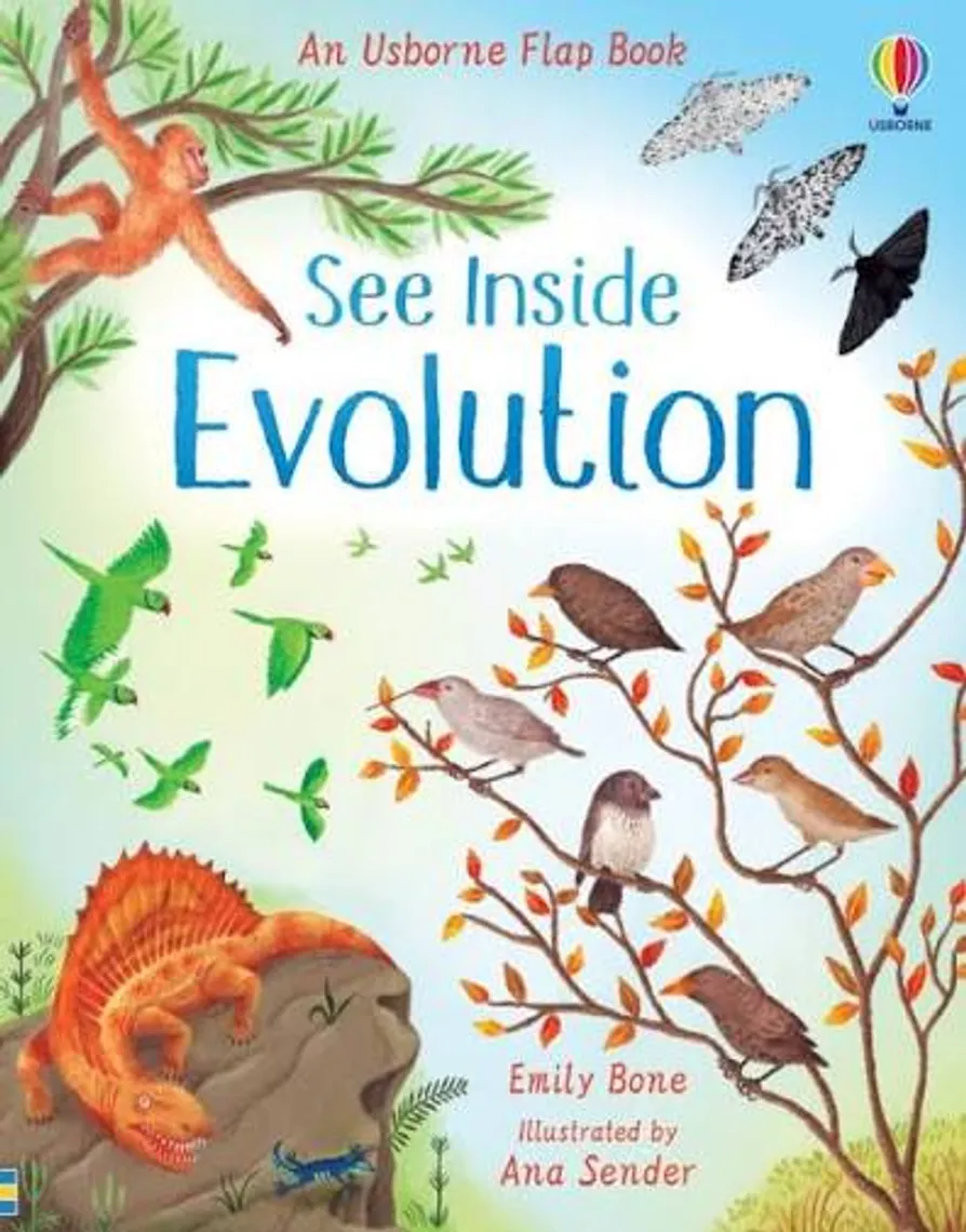 See Inside Evolution — Bakı