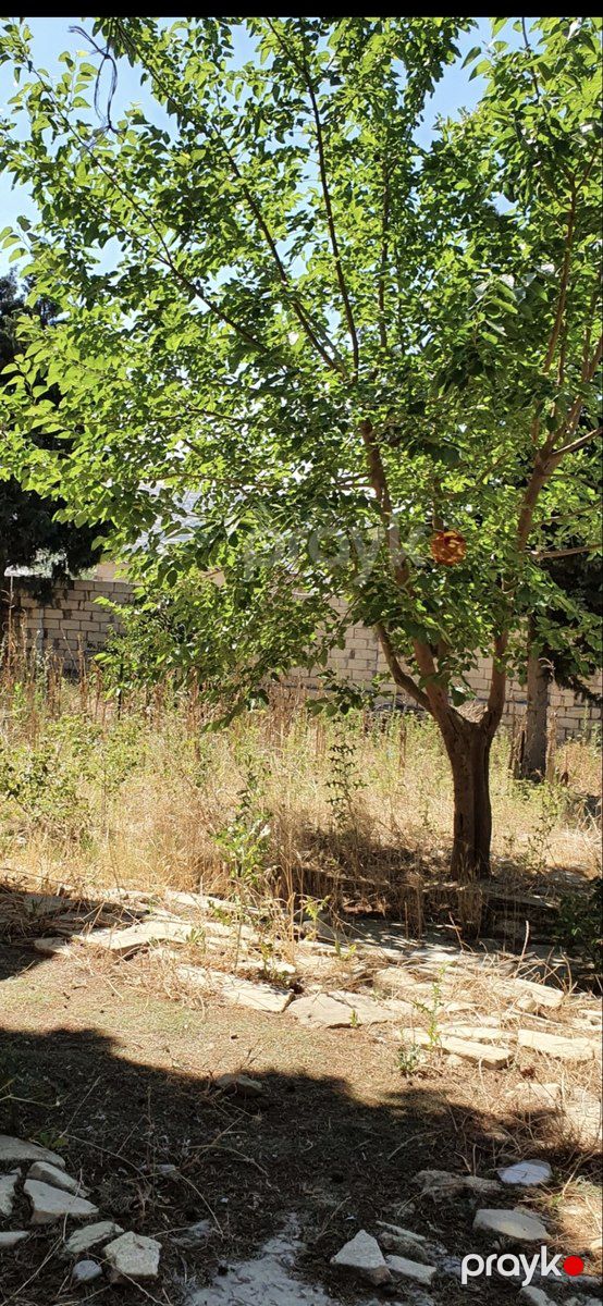 9 sot torpaq sahəsi, Avtovağzal m — Torpaq, Bakı (10)