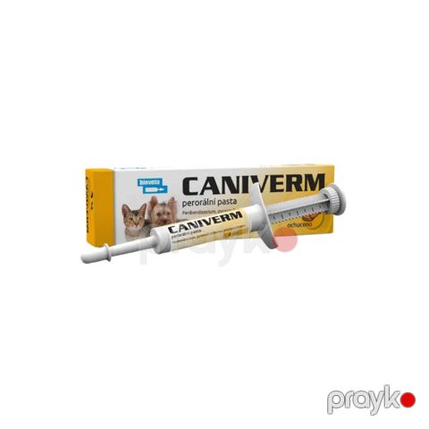 Pişiklər və itlər üçün qurda qarşı pasta, Caniverm 4 ml — Bakı