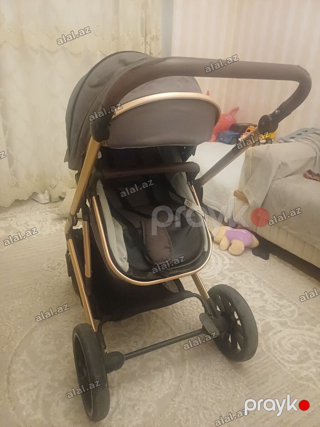 Kidilo, İşlənmiş, Yaş: 1 ay — Mallar, Bakı (2)