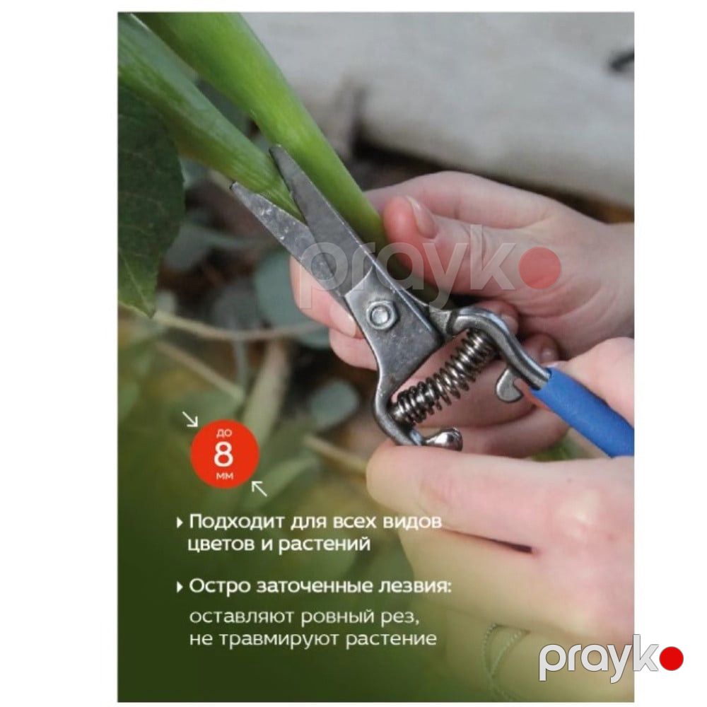 Bağban qayçısı 8019 paslanmayan metal, ergonomik tutacaq - prm_032 — Mallar, Bakı (2)