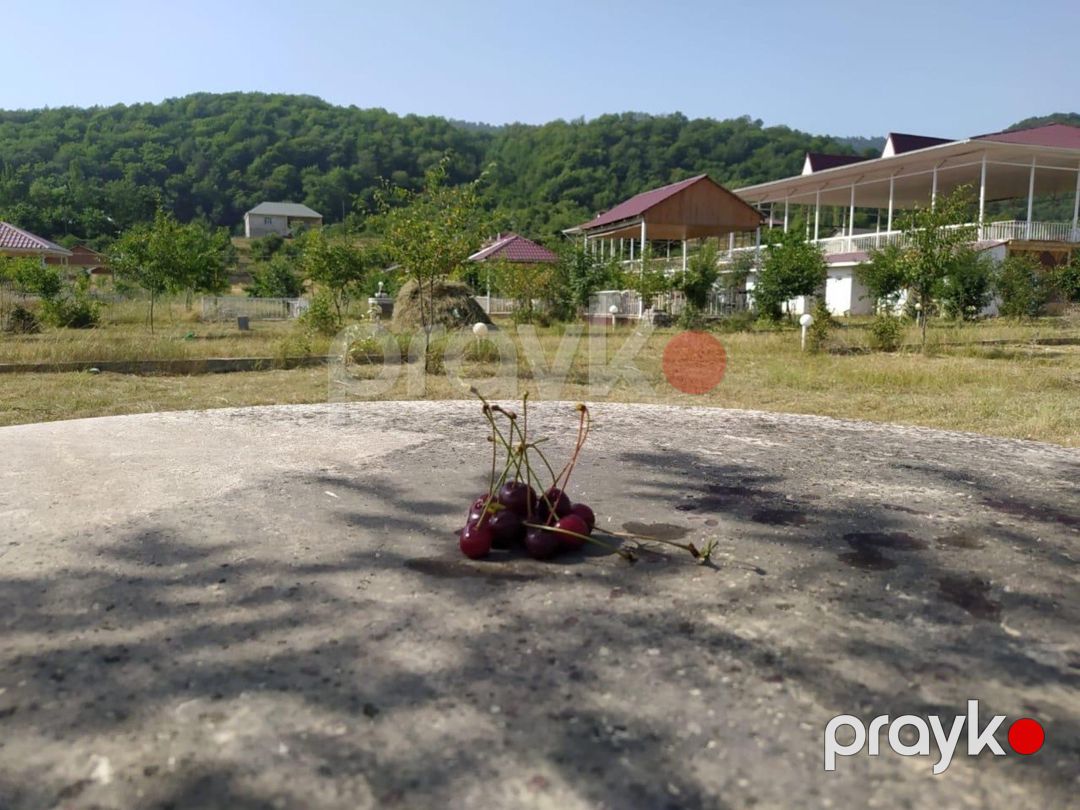 Satılır torpaq 48 sot — Torpaq, Qusar (5)