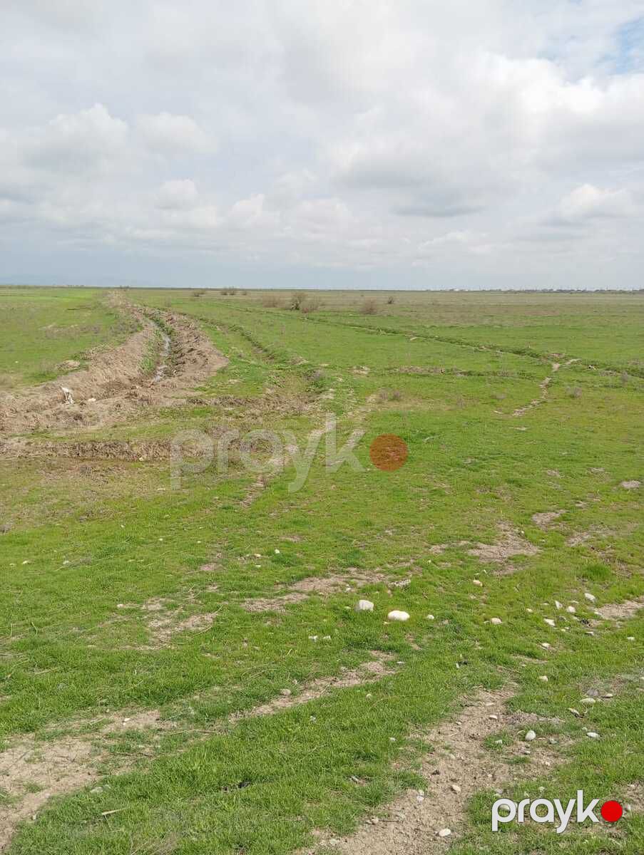 Satılır torpaq 1428 sot — Torpaq, Hacıqabul (2)