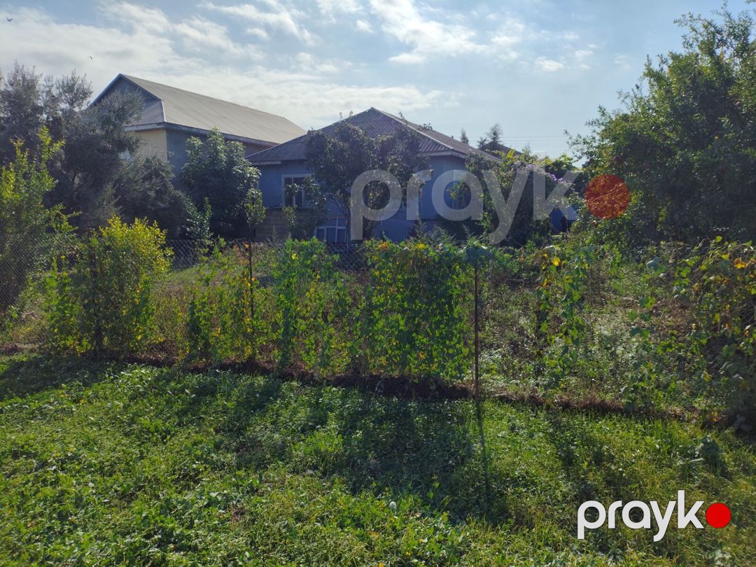 Həyət evi, Biləsuvar r — Ev, villa, Biləsuvar (12)