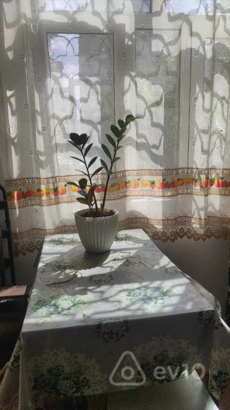 1 otaqlı mənzil, 40 m², Şəfayət Mehdiyev küç — kirayə — Mənzil, Bakı (8)