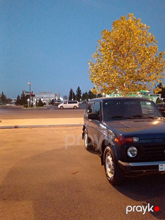 Lada (VAZ) Niva, 1.7 L, 2015 il, 119 800 km — Avtomobillər, Gəncə (4)