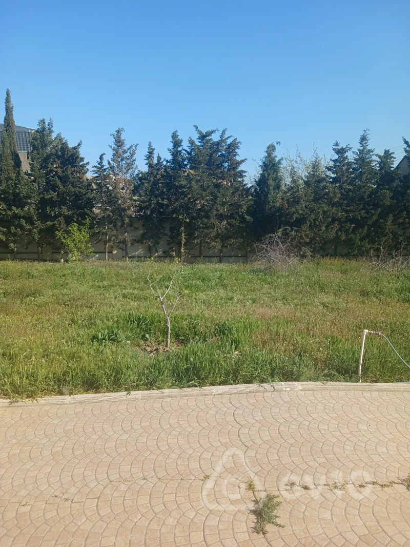 8 otaqlı həyət evi, 1000 m², Masazır qəsəbəsi Milyonerlər məhəlləsi — Ev, villa, Bakı (11)