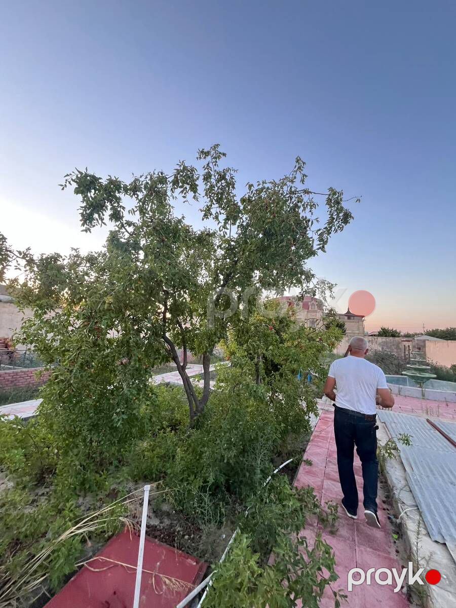 Satılır 3 otaqlı həyət evi/bağ evi 100 m² — Ev, villa, Bakı (4)