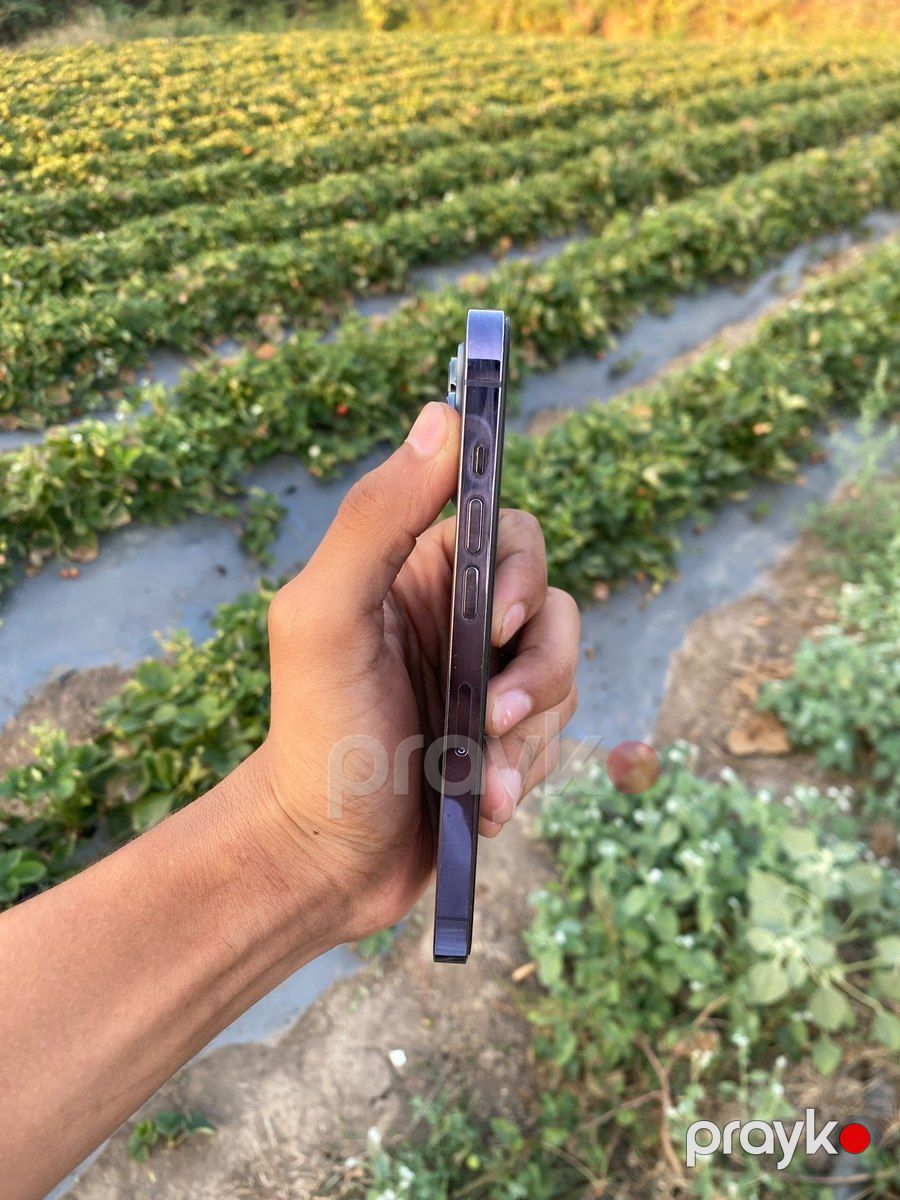 Apple iPhone 14 Pro Deep Purple 128GB/6GB — Smartfonlar, Lənkəran (7)