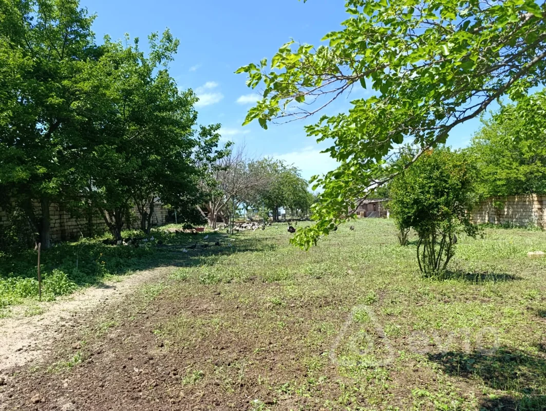 Torpaq sahəsi, 20 sot, Abseron r-n Novxani qes — Torpaq, Bakı (2)