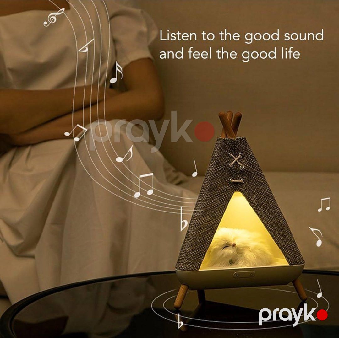 Usb ilə qoşulan musiqili pişik evi — Mallar, Bakı (2)