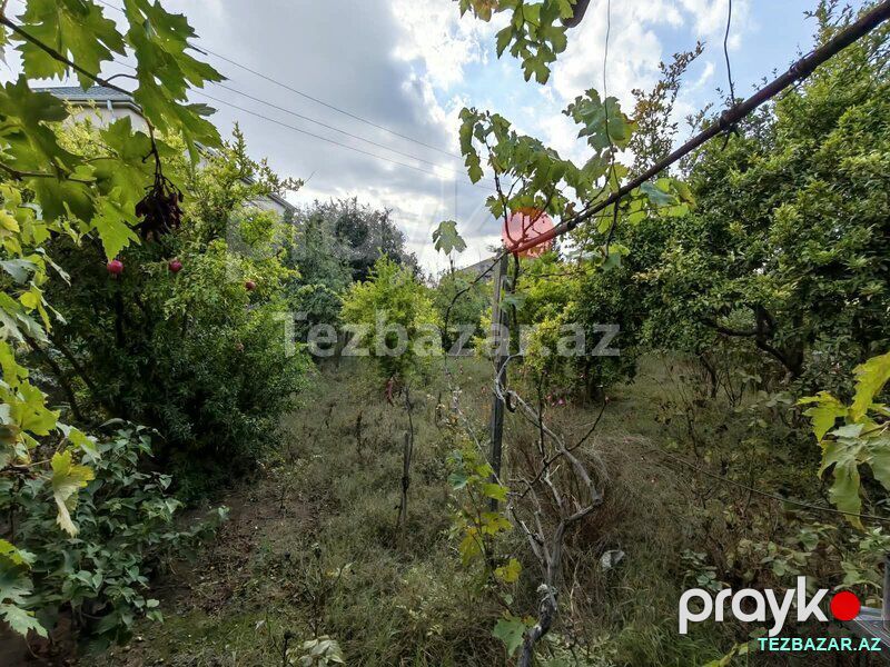 Bagli-Bagcali ev satilir — Ev, villa, Bakı (10)