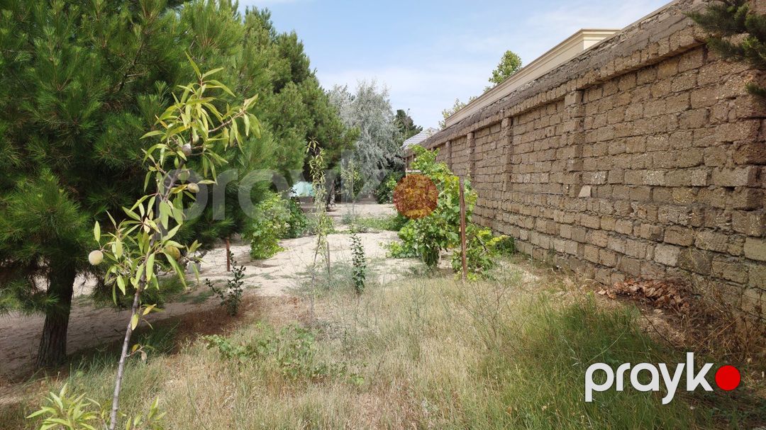 Satılır torpaq 12.5 sot — Torpaq, Bakı (5)