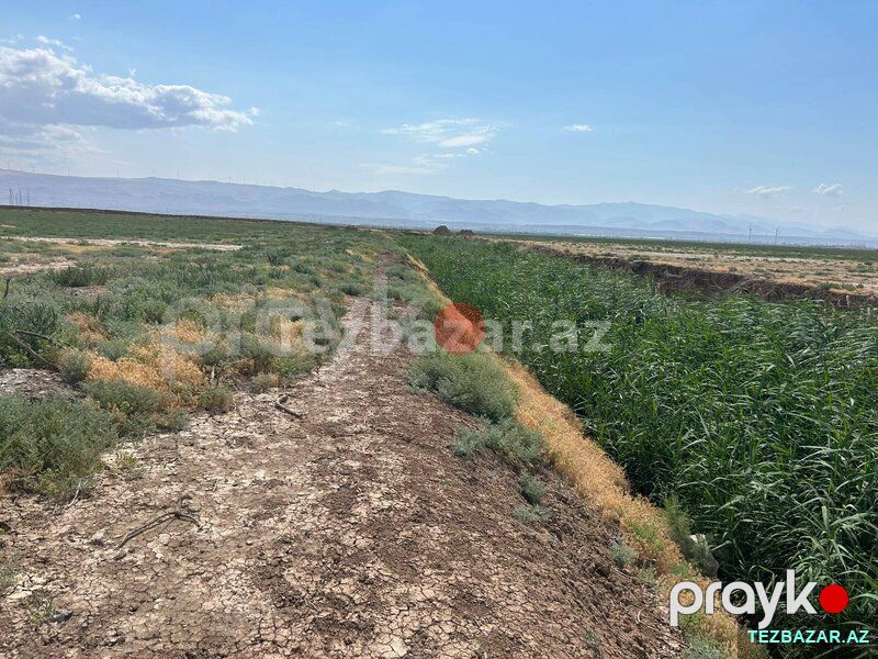 Satılır 511 sot torpaq sahəsi Xızı rayonu — Torpaq, Xızı (6)