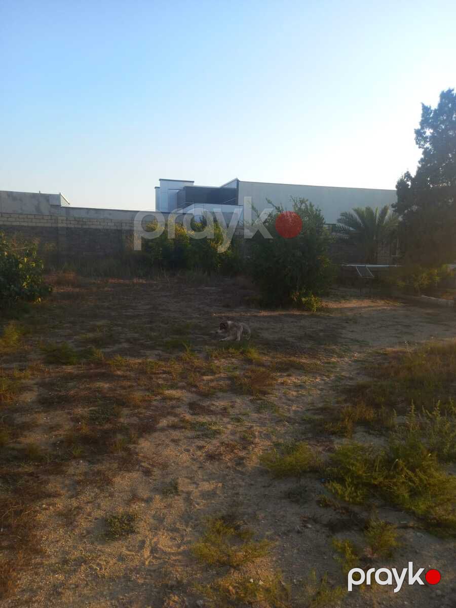 Satılır torpaq 15 sot — Torpaq, Bakı (4)