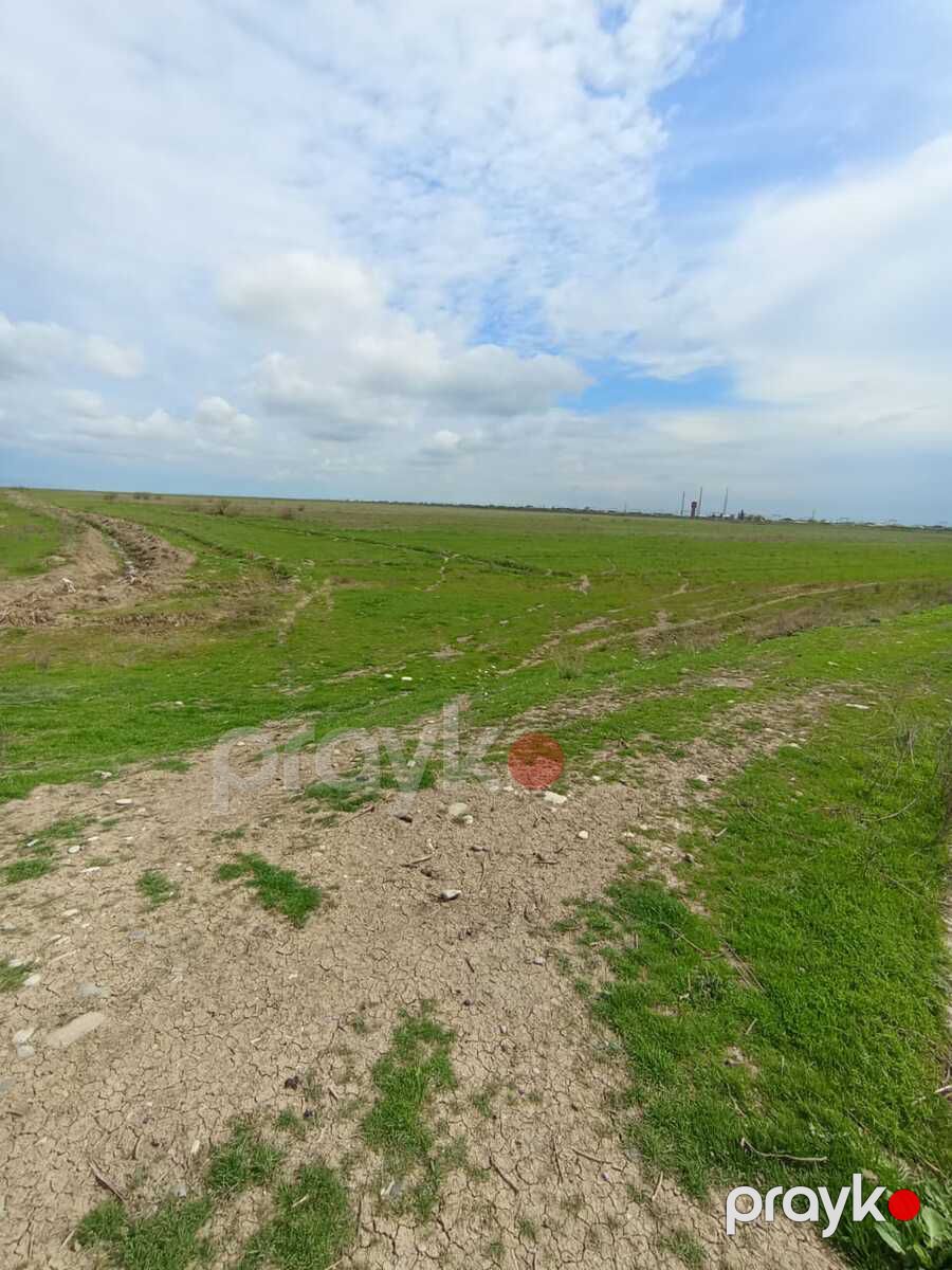 Satılır torpaq 1428 sot — Torpaq, Hacıqabul (4)