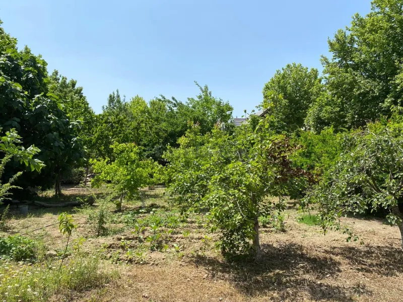 Satılır Torpaq 12 sot Bakı, Abşeron r., Novxanı — Torpaq, Bakı (6)