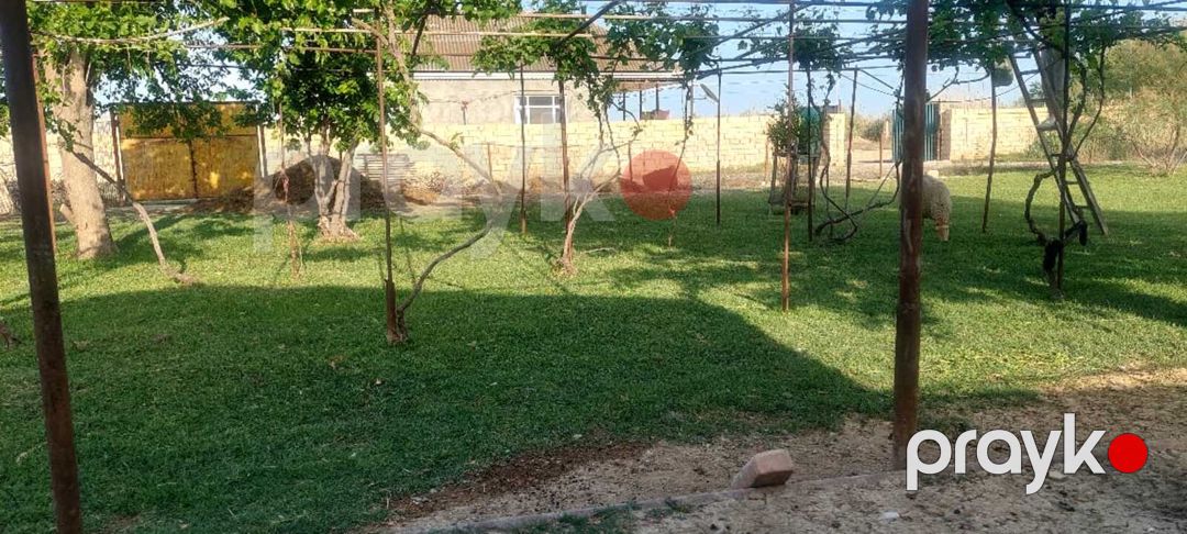 Bağ evi, Mingəçevir ş — Ev, villa, Mingəçevir (3)