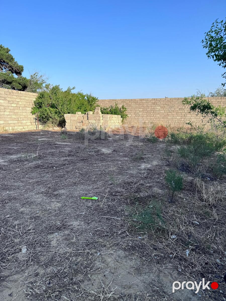11 sot torpaq sahəsi, Zirə qəs — Torpaq, Bakı (9)