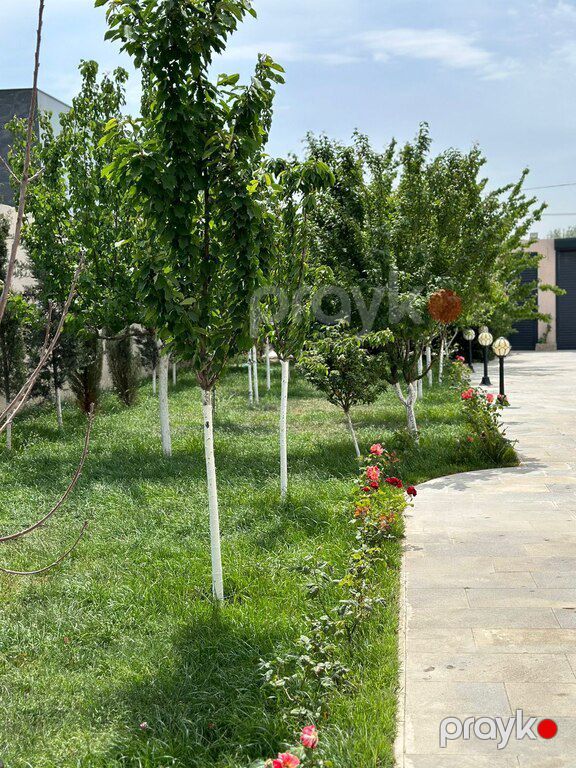 Bağ evi kirayə verilir, Şüvəlan qəs — Ev, villa, Bakı (8)