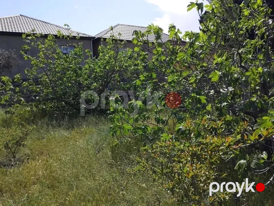 3 sot torpaq sahəsi, Corat bağları — Torpaq, Sumqayıt (2)
