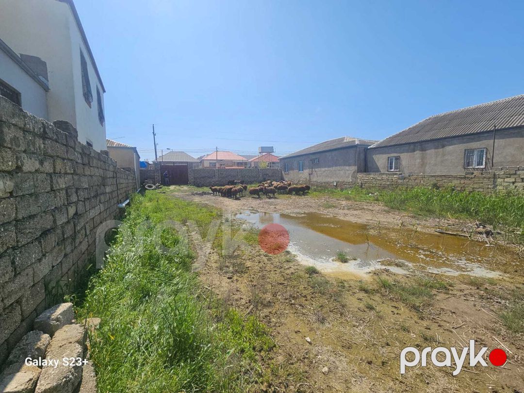 Satılır torpaq 7 sot — Torpaq, Bakı (4)