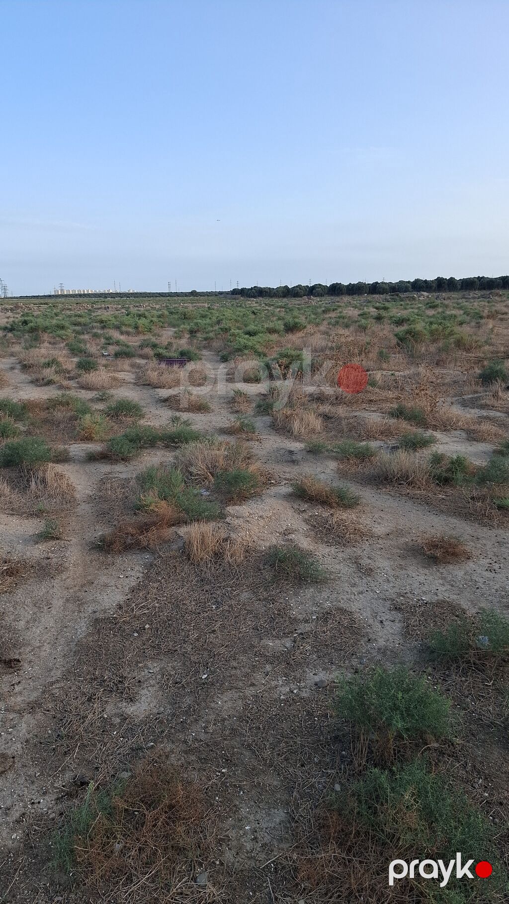Tikinti — Torpaq, Bakı (3)