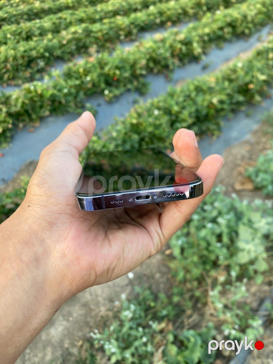 Apple iPhone 14 Pro Deep Purple 128GB/6GB — Smartfonlar, Lənkəran (6)