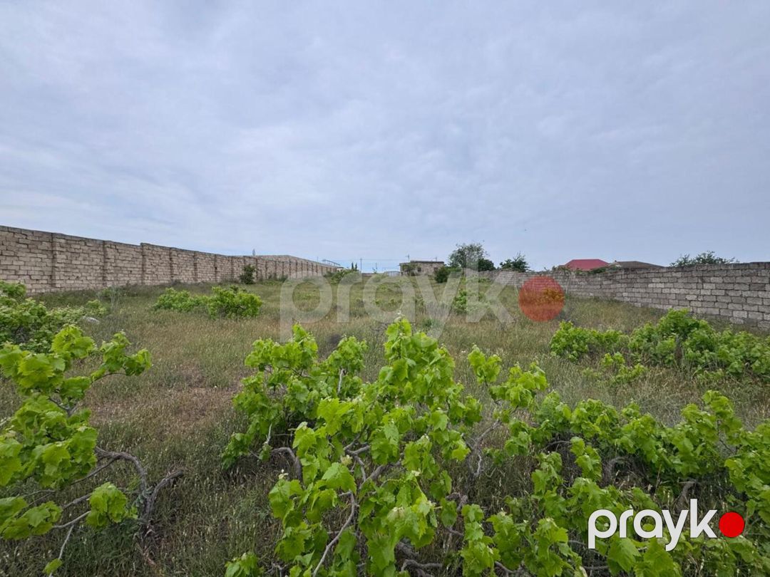 Satılır torpaq 24 sot — Torpaq, Bakı (11)