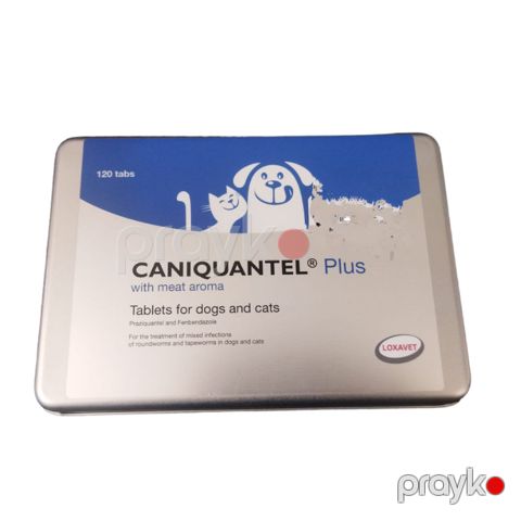 Qurd əleyhinə həblər Loxavet Caniquantel plus itlər və pişiklər üçün, 1ədəd — Bakı