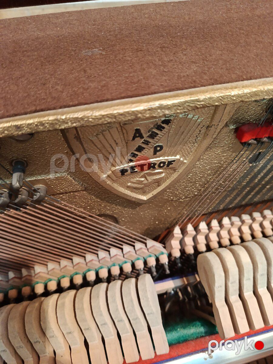 Piano Petrof — Musiqiə alətləri, Bakı (4)