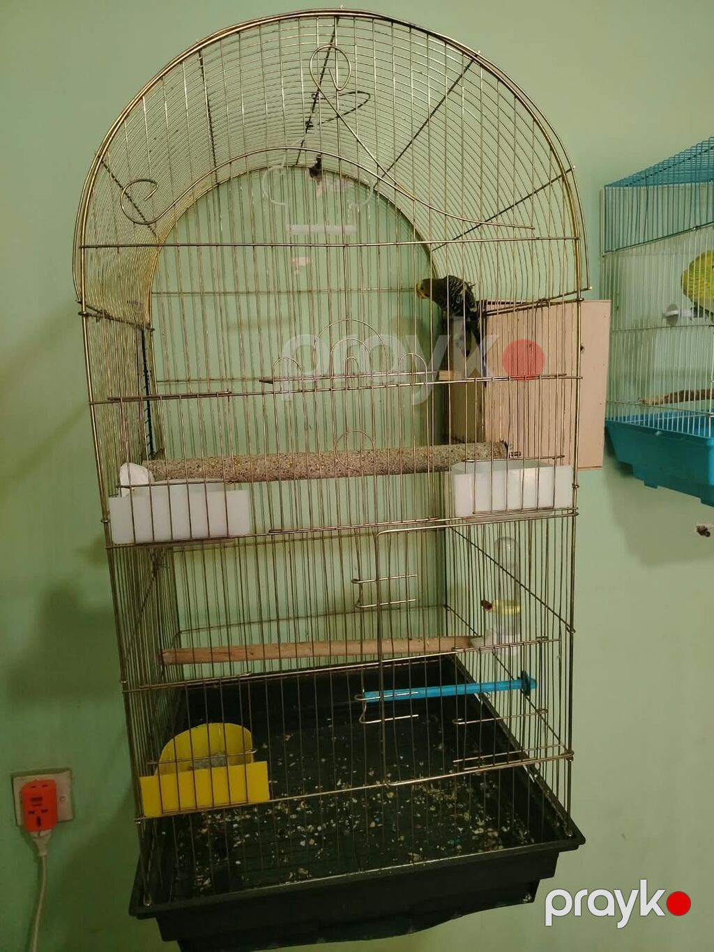 Hamsinin altinda bala var qefes qarisiq optum satilir hamsi Məhsul — Qəfəslər, Bakı (4)