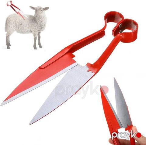 Qayçı qoyun qırxmaq üçün İL-2511 — Bakı