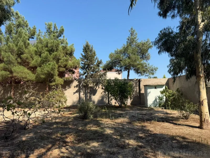Satılır Torpaq 77 sot Bakı, Xəzər r., Mərdəkan — Torpaq, Bakı (6)