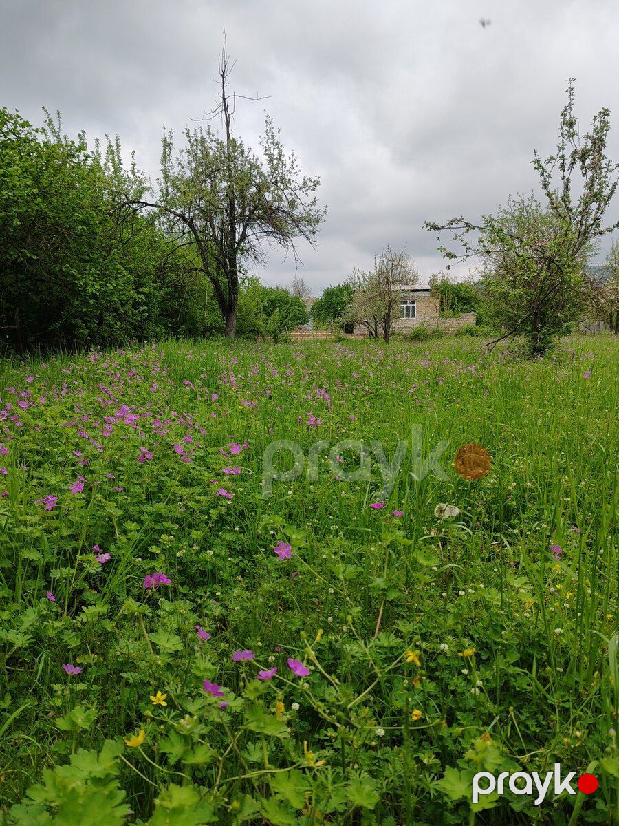 66 sot torpaq sahəsi, Qəbələ r — Torpaq, Qəbələ (7)