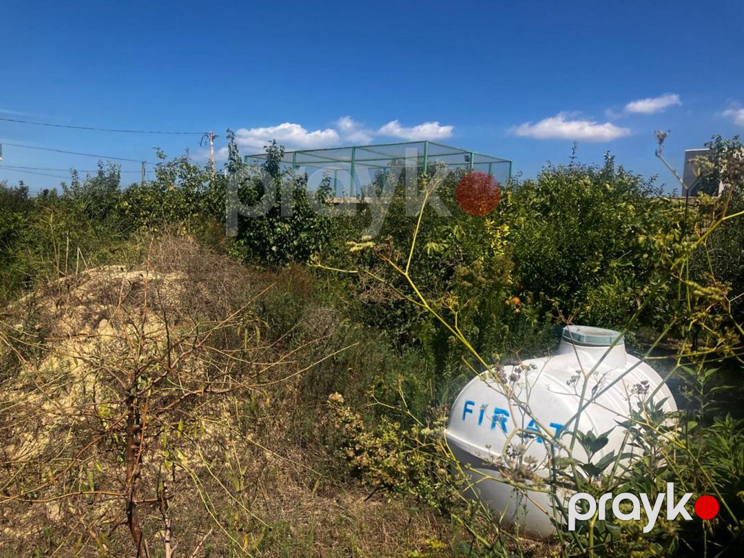 Satılır torpaq 12 sot — Torpaq, Bakı (3)