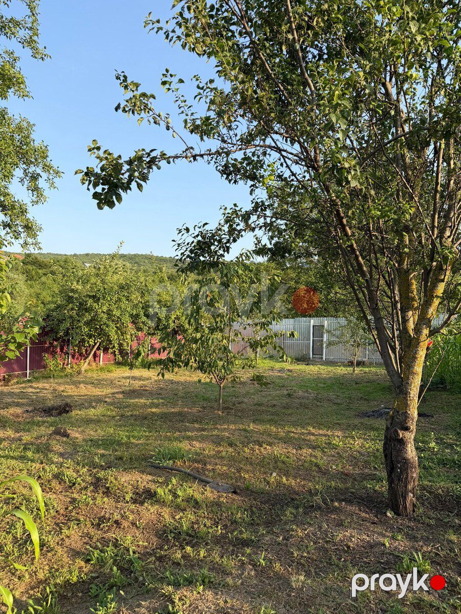 Bağ evi kirayə verilir, Şabran r — Ev, villa, Şabran (12)
