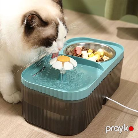 Pişiklər üçün fontan 001, mavi, plastik, 3 L — Bakı