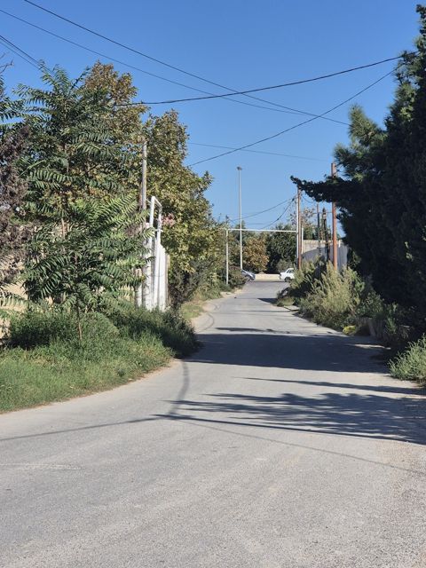 Satılır torpaq 18 sot — Tale