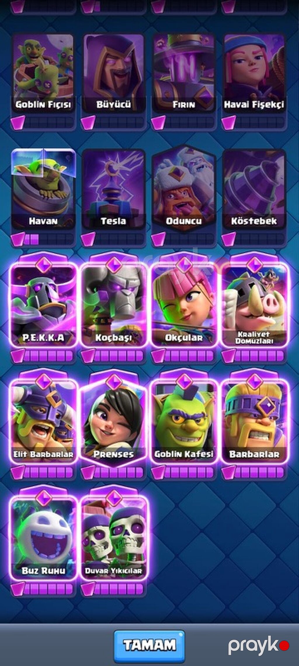 Clash Royale oyun hesabı – eInur5555 - Klan: “Beyaz Ölüm” (Böyük) — Şəxsi əşyalar, Masazır (6)