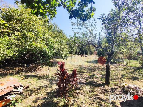 15.3 sot torpaq sahəsi, Qəbələ ş — Qəbələ
