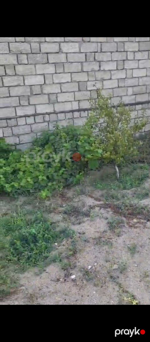 1.5 sot torpaq sahəsi, Maştağa qəs — Torpaq, Bakı (2)